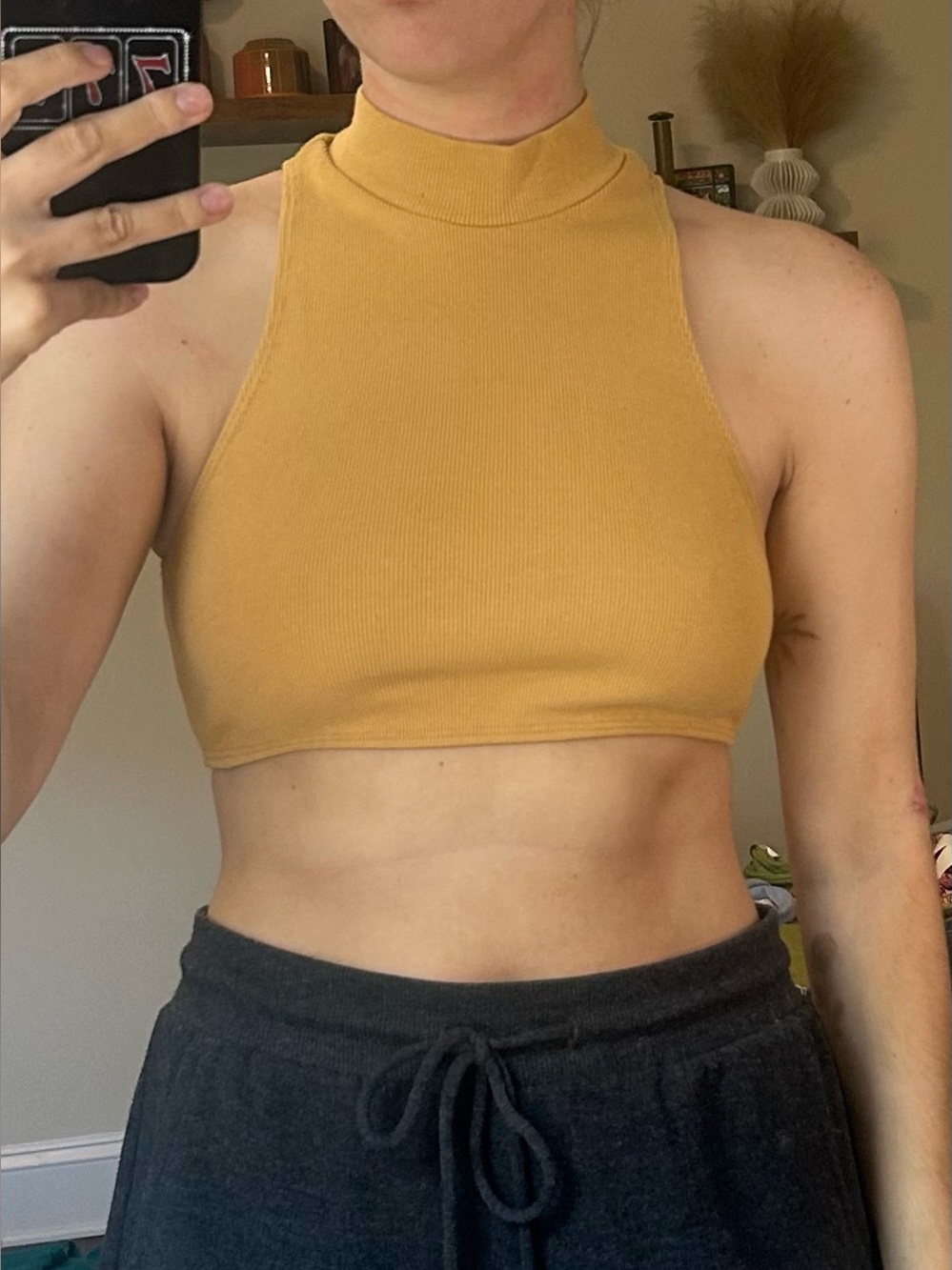 Inamorata crop top